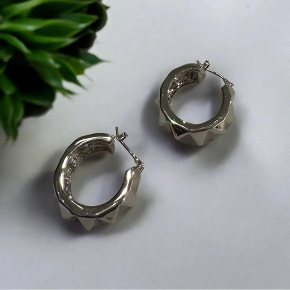 🇨🇦🆕5th Avenue Chunky Rhodium Earrings - Picture 4 of 13